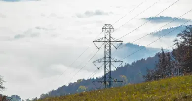 Зростає глобальний попит на електроенергію, але відновлювані джерела випереджають вугілля
