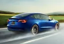 Нова версія автопілота Tesla FSD не помічає повалені дерева на дорозі