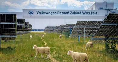 Volkswagen сонячна ферма у Познані: вівці замість газонокосарок під 31 000 панелей