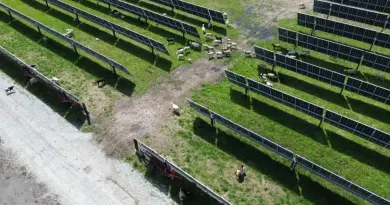 Дослідження: як вплив ВЕС та СЕС на вартість житла виявився міфом